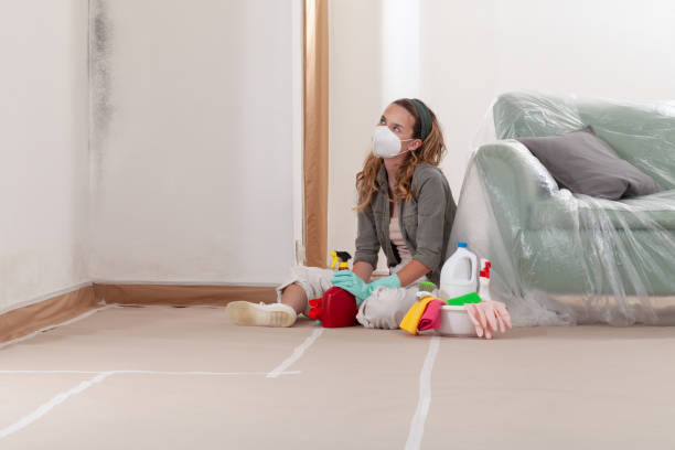 Reliable Mold Remediation contractor in Allendale, NJ by Car Mold Remediation